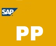 sap pp training